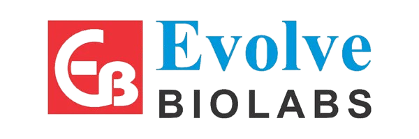 Evolve Logo